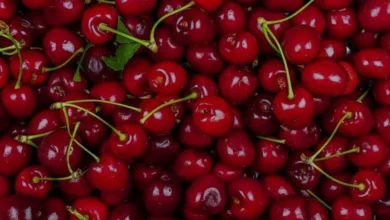 Mutfaklarda Vişne İle Hazırlanan Et Yemekleri