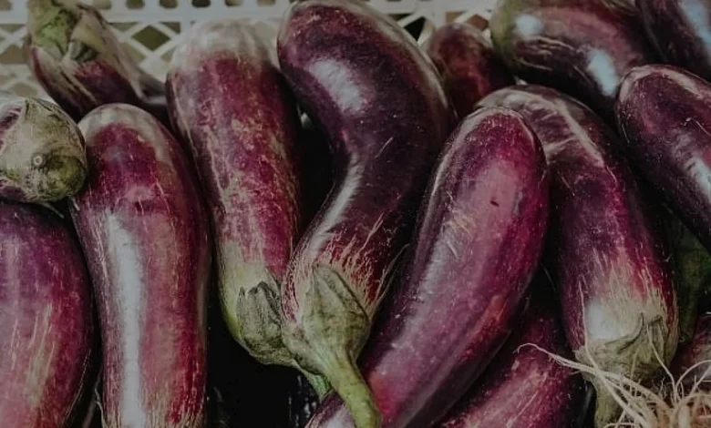 Patlıcanı Dondurucuda Saklamanın Püf Noktası