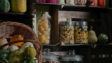 Konserve Gıdalarda Son Tüketim Tarihi ve Dayanıklılık Gerçeği