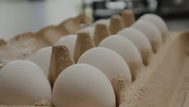Marketten Yumurta Alırken Dikkat Edilmesi Gereken Kritik Detay