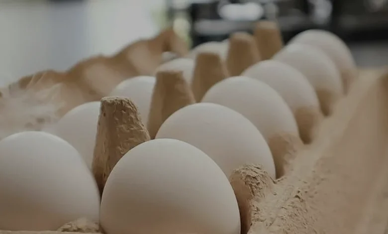Marketten Yumurta Alırken Dikkat Edilmesi Gereken Kritik Detay