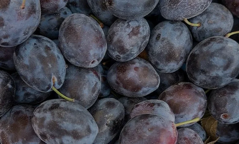 Mürdüm Eriği Reçeli Yapımında İdeal Şeker Oranı Nedir