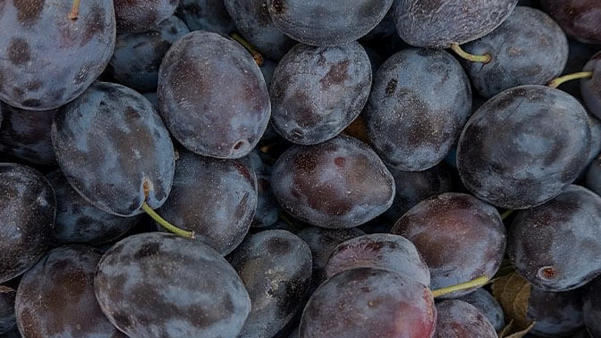 Mürdüm Eriği Reçeli Yapımında İdeal Şeker Oranı Nedir