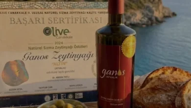 Soğuk Sıkım Zeytinyağı Seçiminde Kaliteyi Belirleyen Faktörler