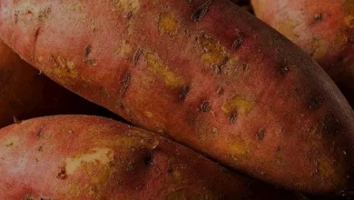 Tatlı Patates Közleme Yöntemiyle Nasıl Pişirilir