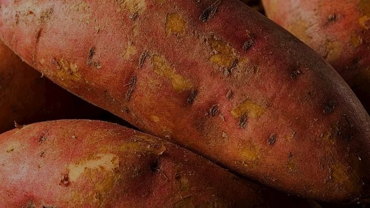 Tatlı Patates Közleme Yöntemiyle Nasıl Pişirilir