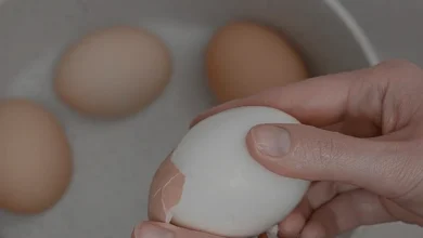 Taze Yumurta Soyarken Yaşanan Zorlukların Bilimsel Nedeni