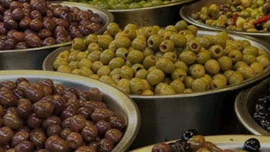 Türkiye Zeytin Çeşitliliği ve Yöresel Lezzet Profilleri